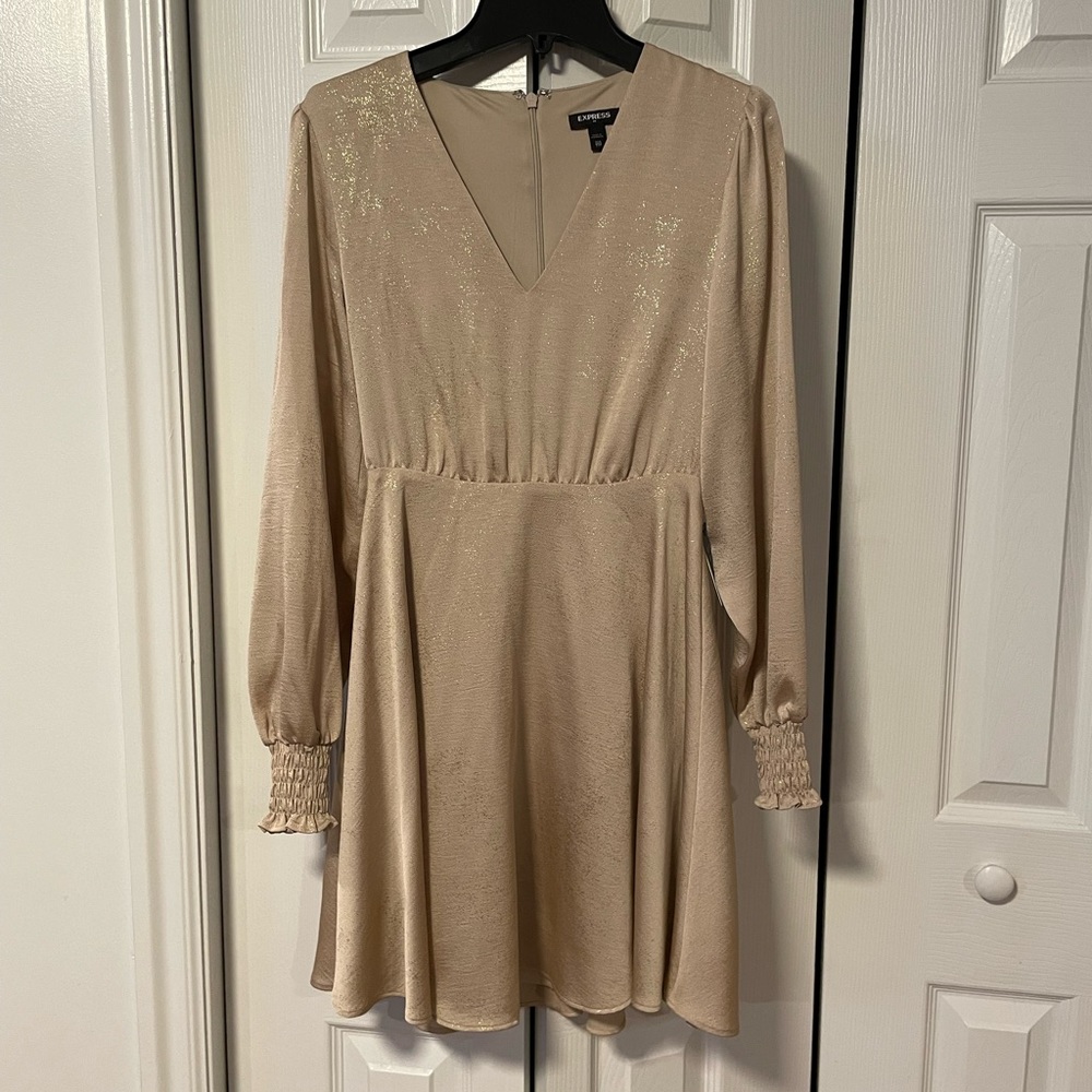 NWT Express Dress